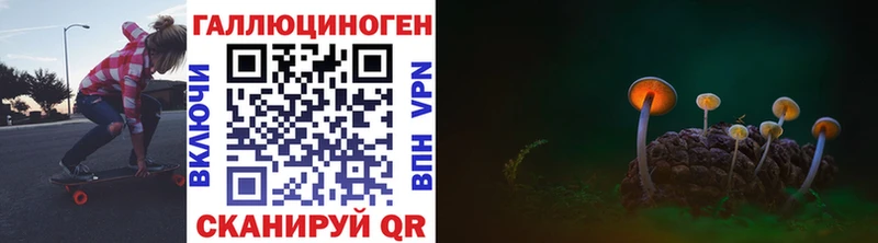 Псилоцибиновые грибы Psilocybine cubensis  Троицк 
